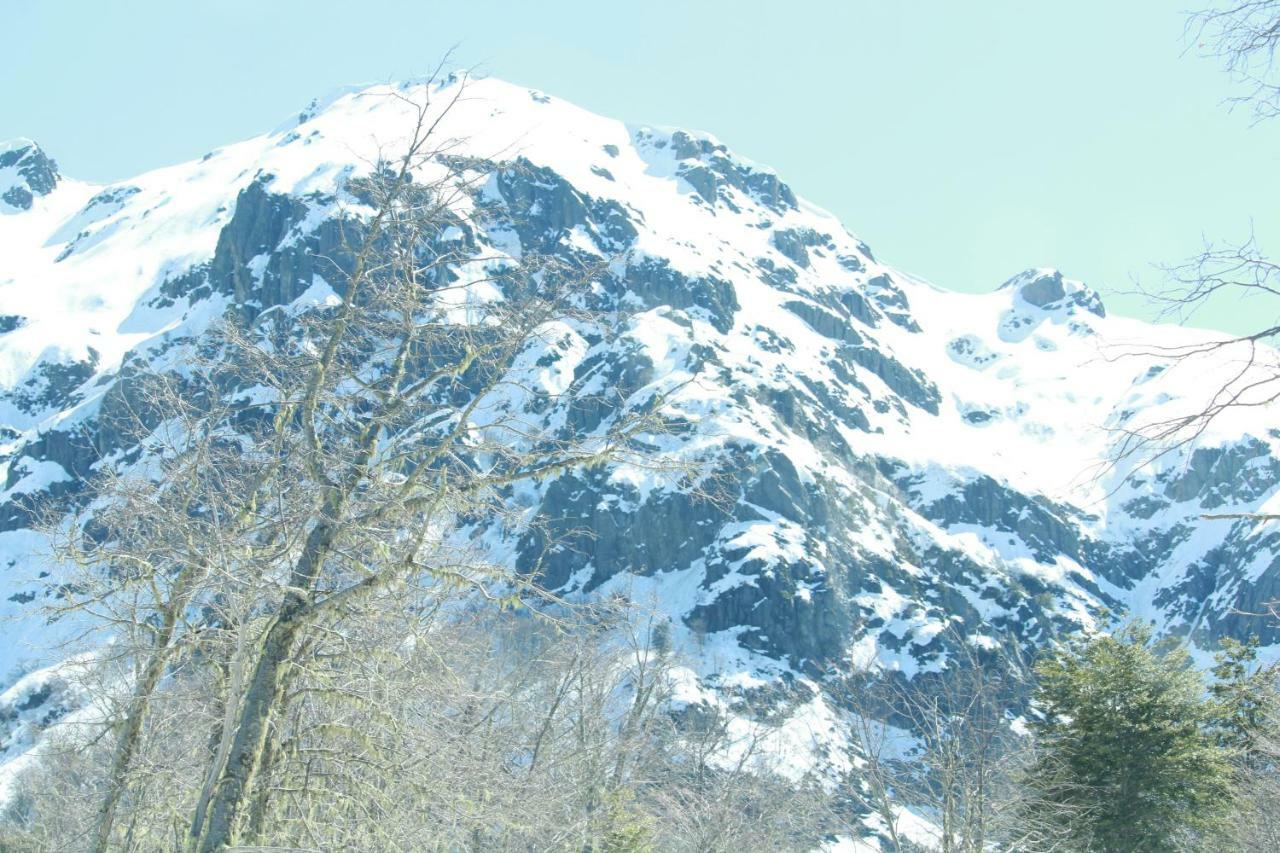 Chillán House Villa Las Trancas Kültér fotó